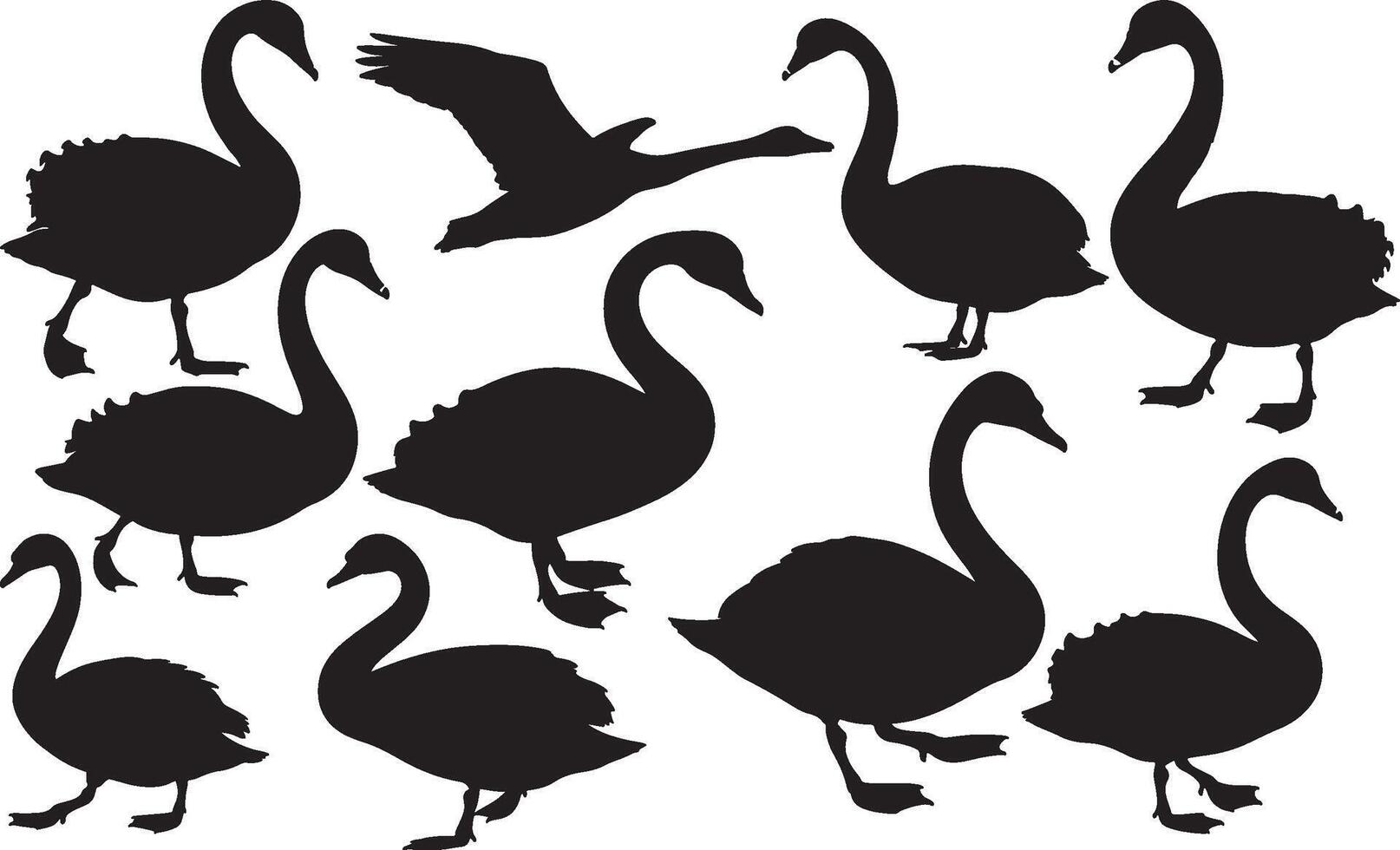 A set of silhouettes of swans on a white background vector