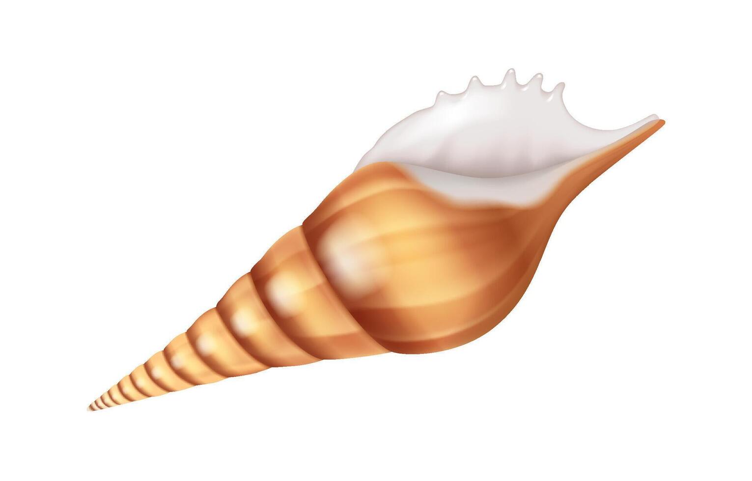 Cone seashell illustration with realistic details, showcasing natural brown and white tones perfect for coastal or marinethemed projects and educational content with copy space. vector