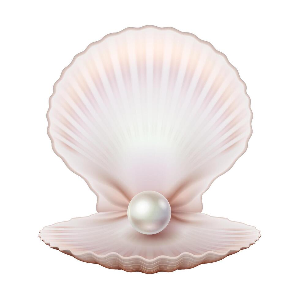 Realistic illustration of an open scallop shell showcasing a lustrous pearl. The elegant design in soft earthy tones represents oceanic beauty and marine treasures with copy space. vector