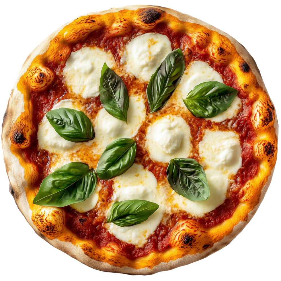 A perfect Margherita pizza with fresh basil and melted mozzarella, Isolated on transparent Background png