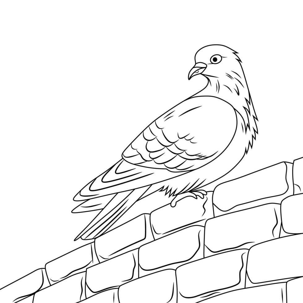 Line Art Pigeon on Brick Wall vector