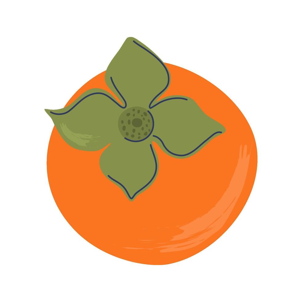 Persimmon. Sweet exotic fruit. Hand drawn flat design illustration. vector