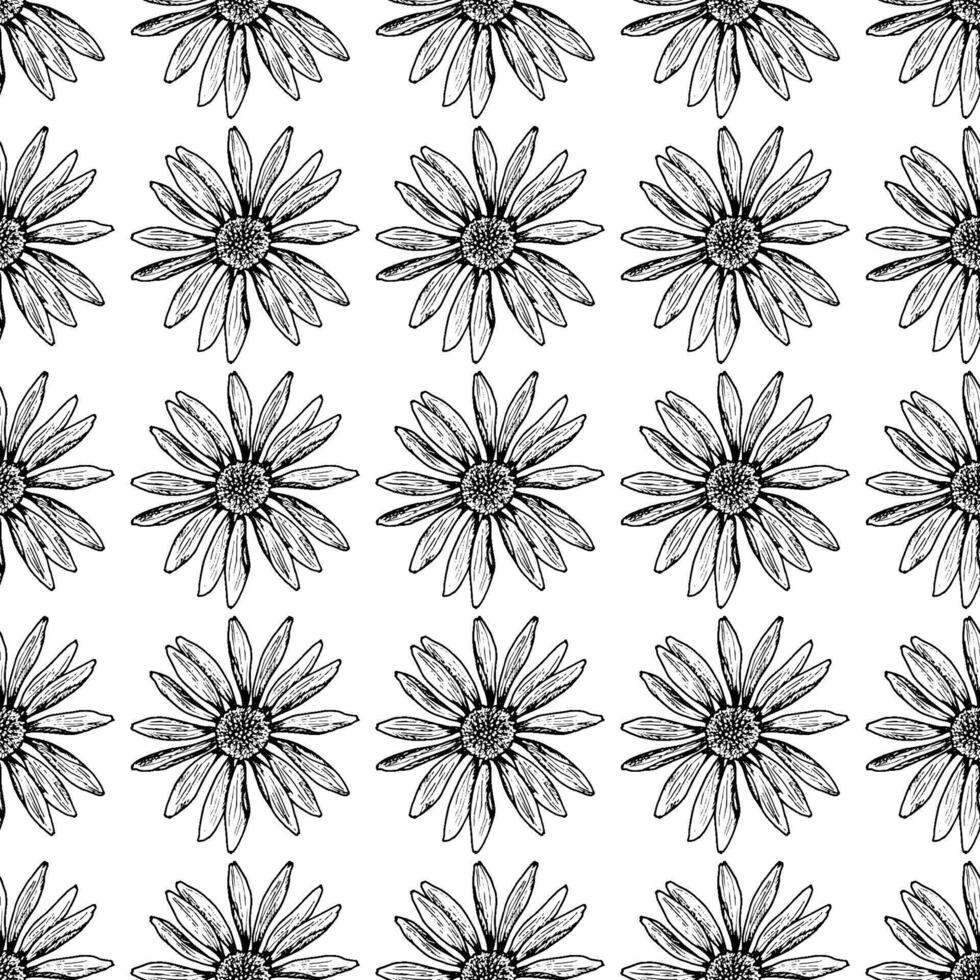 Seamless black and white pattern with hand drawn daisy-like flowers. Suitable for natural cosmetics, herbal tea packaging, eco fabric, wedding stationery, and rustic botanical design. vector