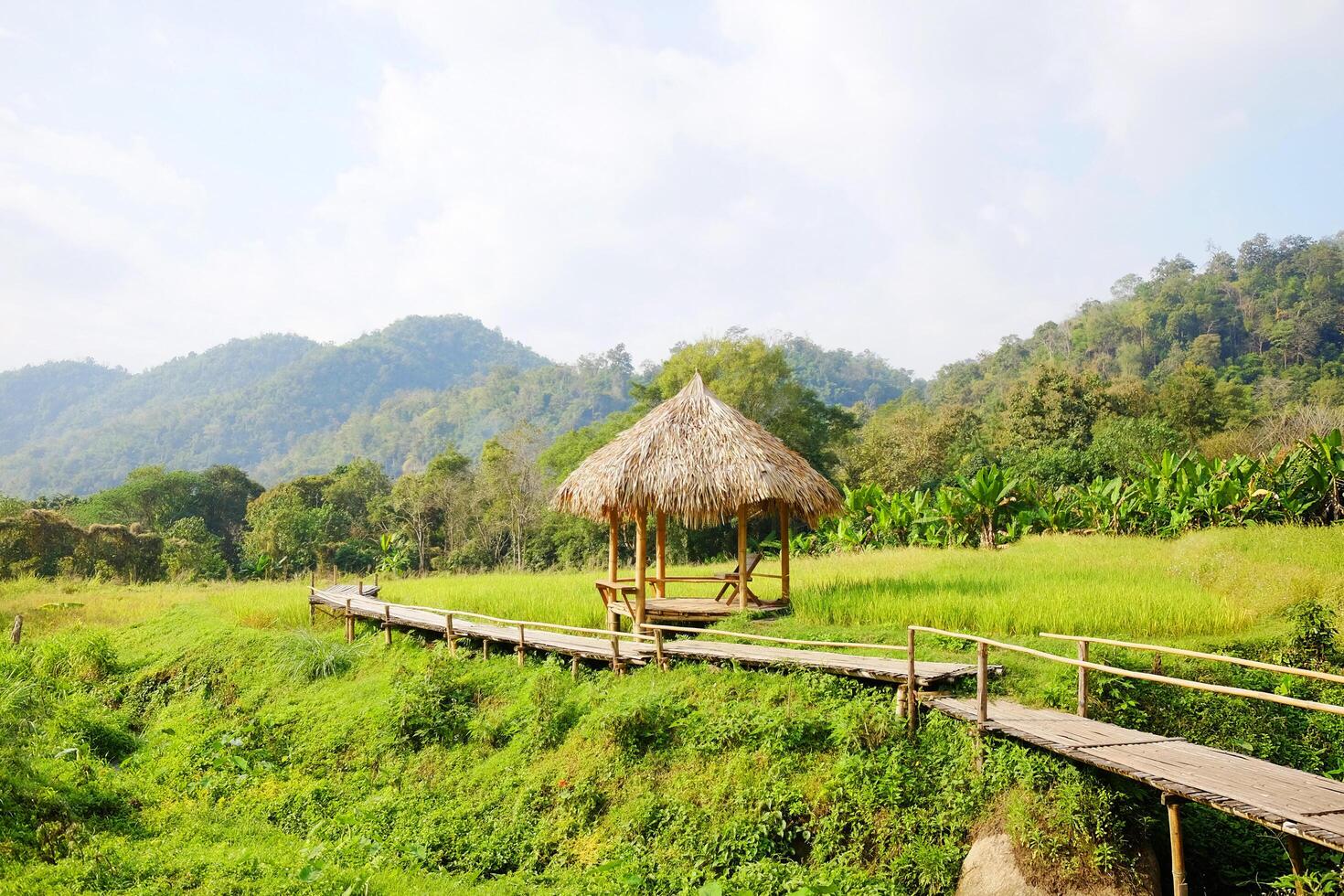 Wooden pavilion with dry thatched roof and bamboo bridge in warm sunset and paddy rice fields with wildflower and valley mountain of Thailand photo