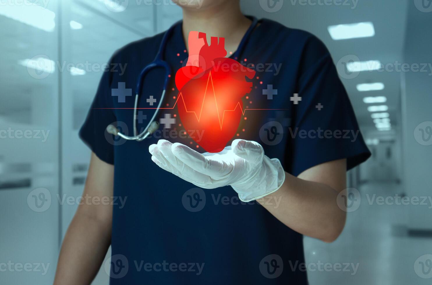 Cardiologist doctor hold virtual reality heart for cardiology healthcare concept. Heart disease. photo