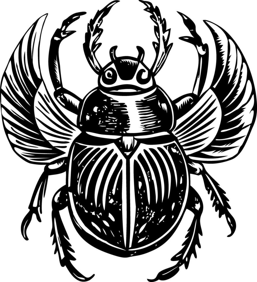 A black and white drawing of a beetle vector