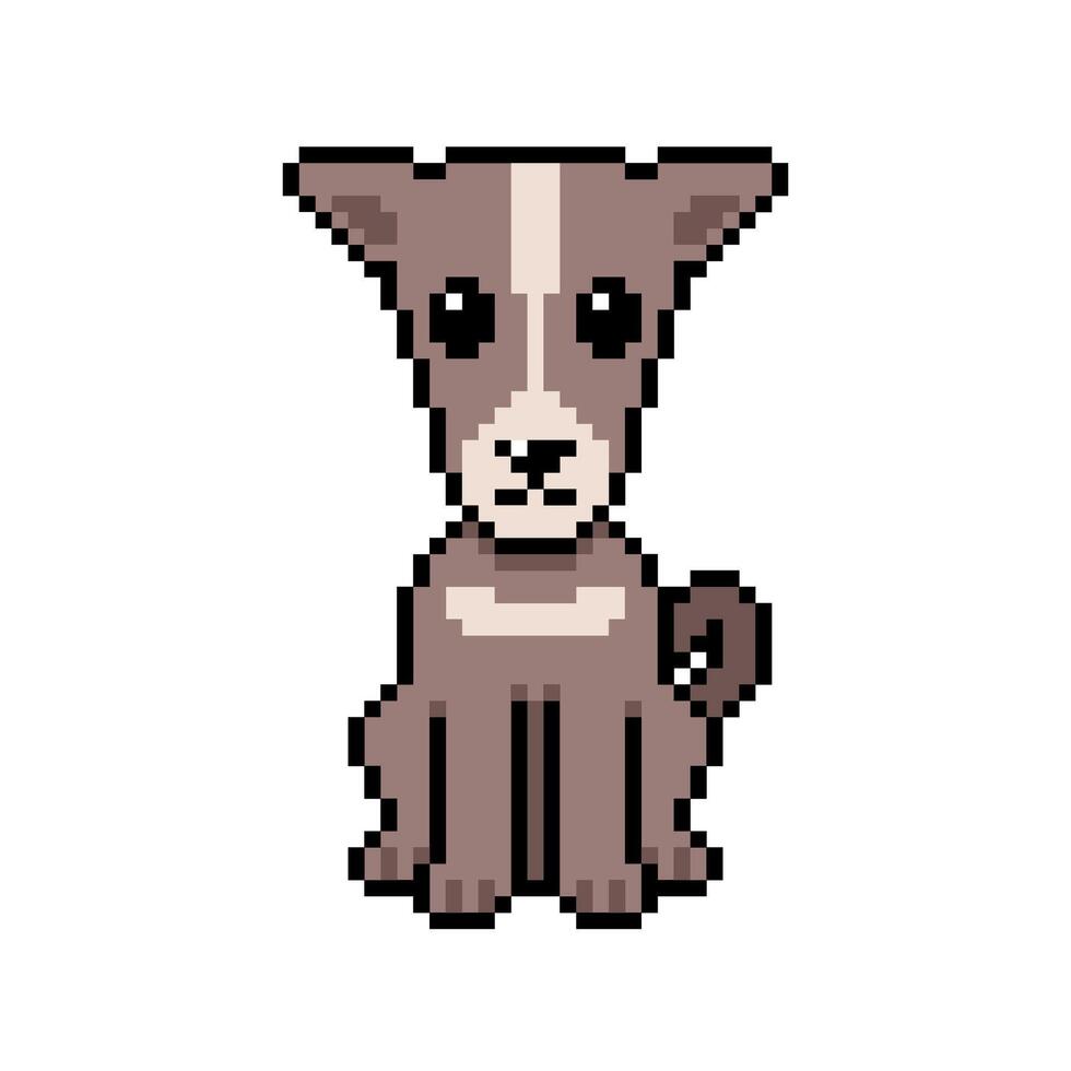 Pixel art a cute greyhound dog in retro style for design. vector