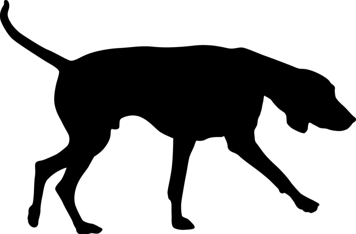 Black silhouette of a dogs on white a background vector