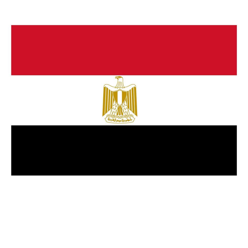Flag of the country Egypt on a white background vector