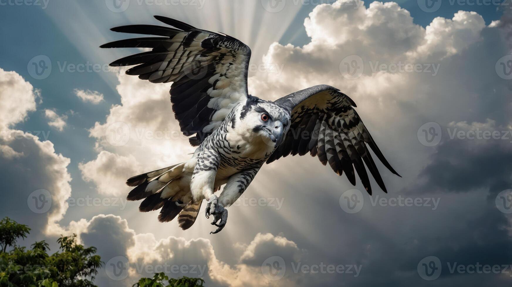 A majestic bird of prey soaring against a dramatic sky filled with clouds and sunlight. photo