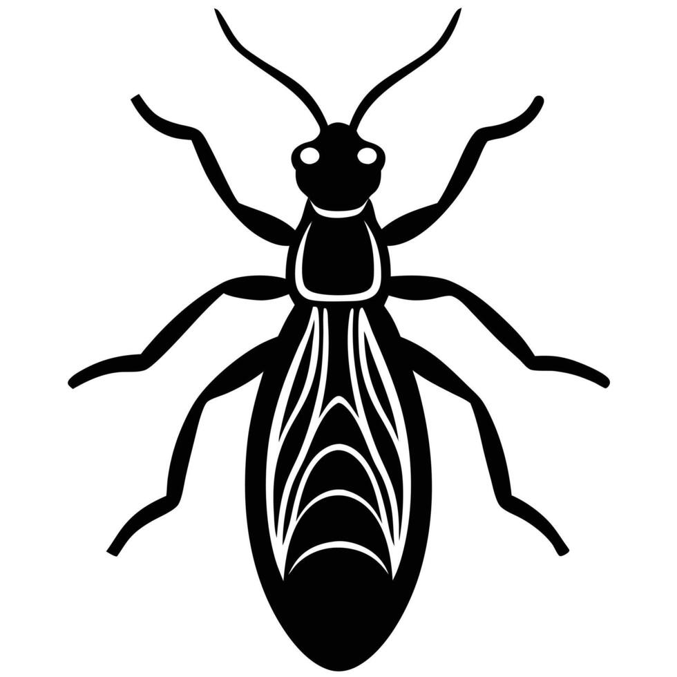 Insect Illustration Black And White Simple Bug Graphic Icon vector