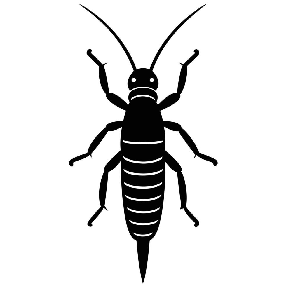 Black And White Earwig Insect vector