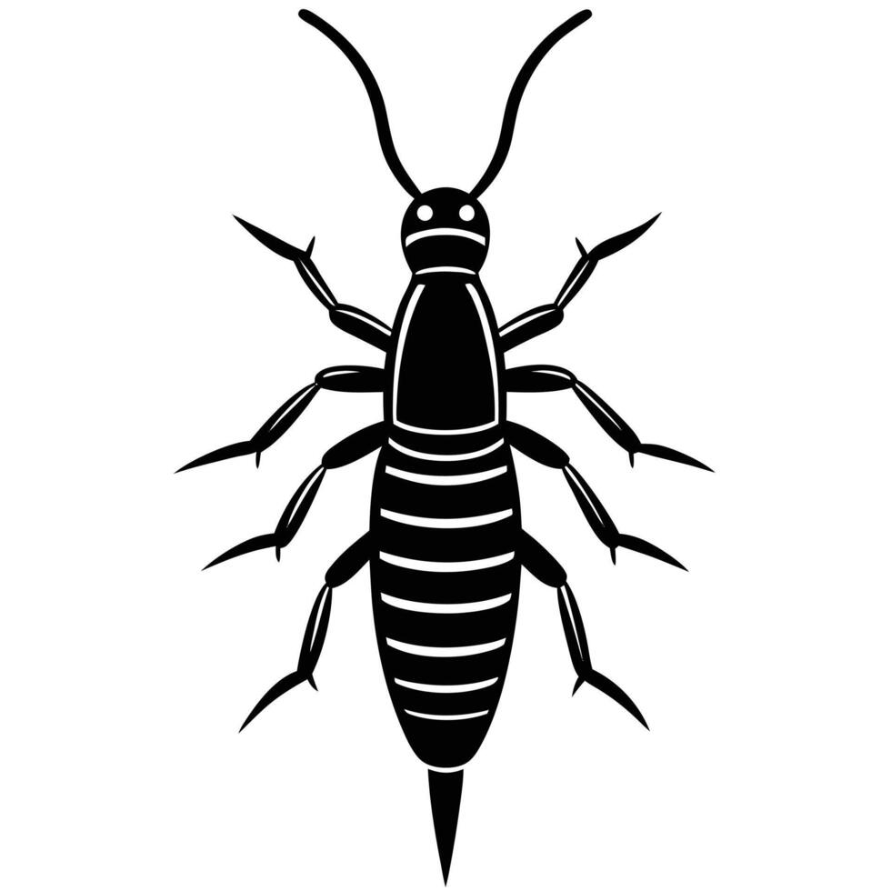 Black And White Earwig Illustration vector