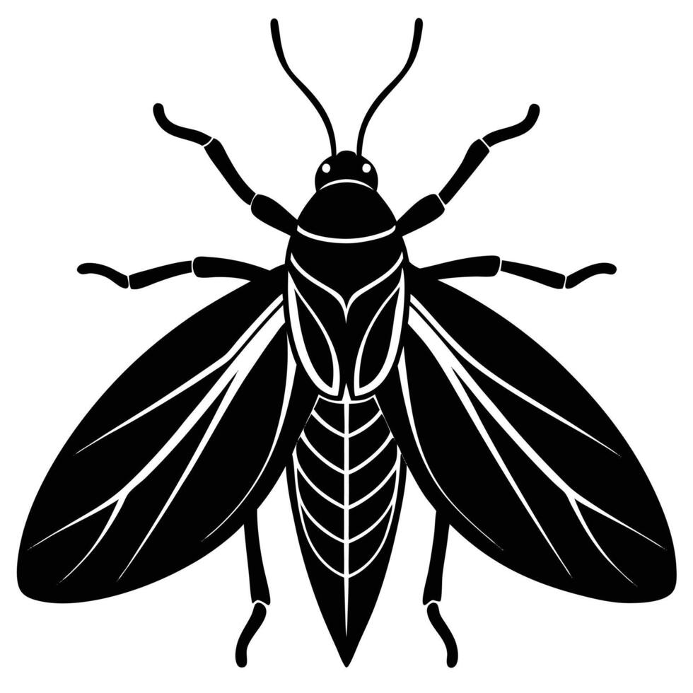 Black And White Insect Icon Graphic Design Element vector