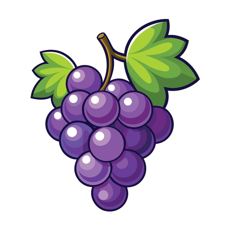 Cartoon Bunch Of Purple Grapes With Green Leaves Design vector