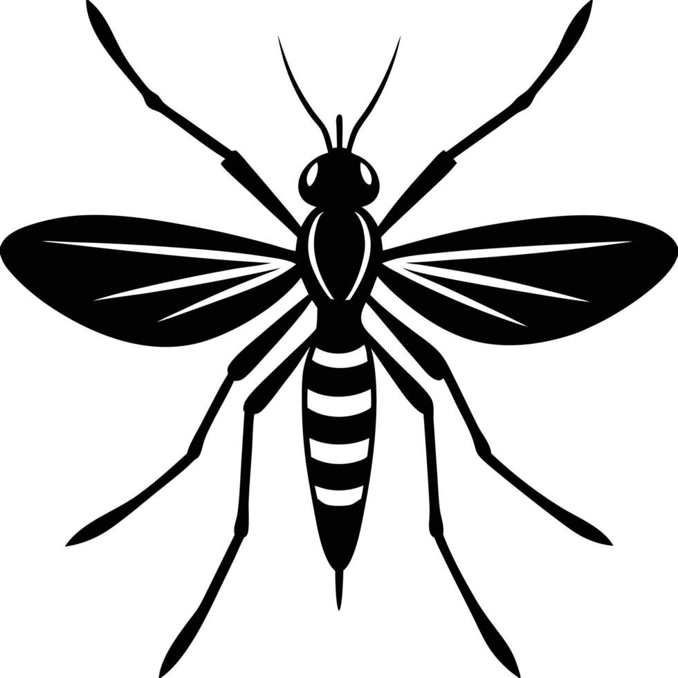 Black And White Mosquito Graphic Illustration vector