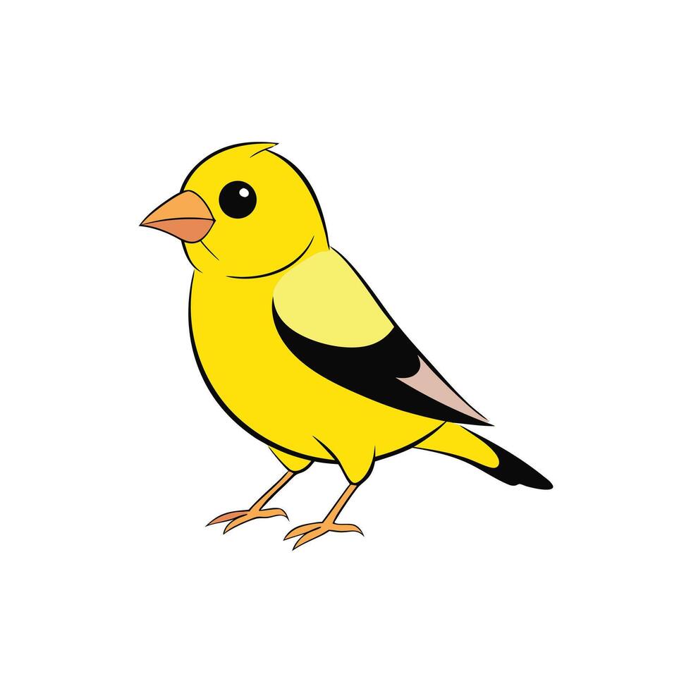 Cartoon Yellow Bird Illustration vector