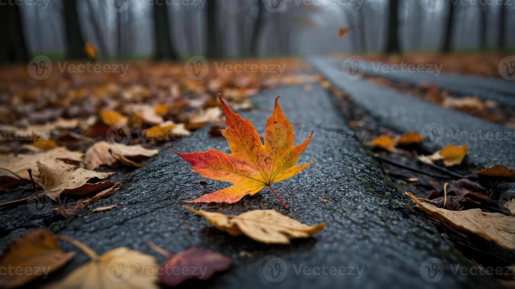 A vibrant autumn leaf rests on a path surrounded by fallen foliage in a misty forest. photo