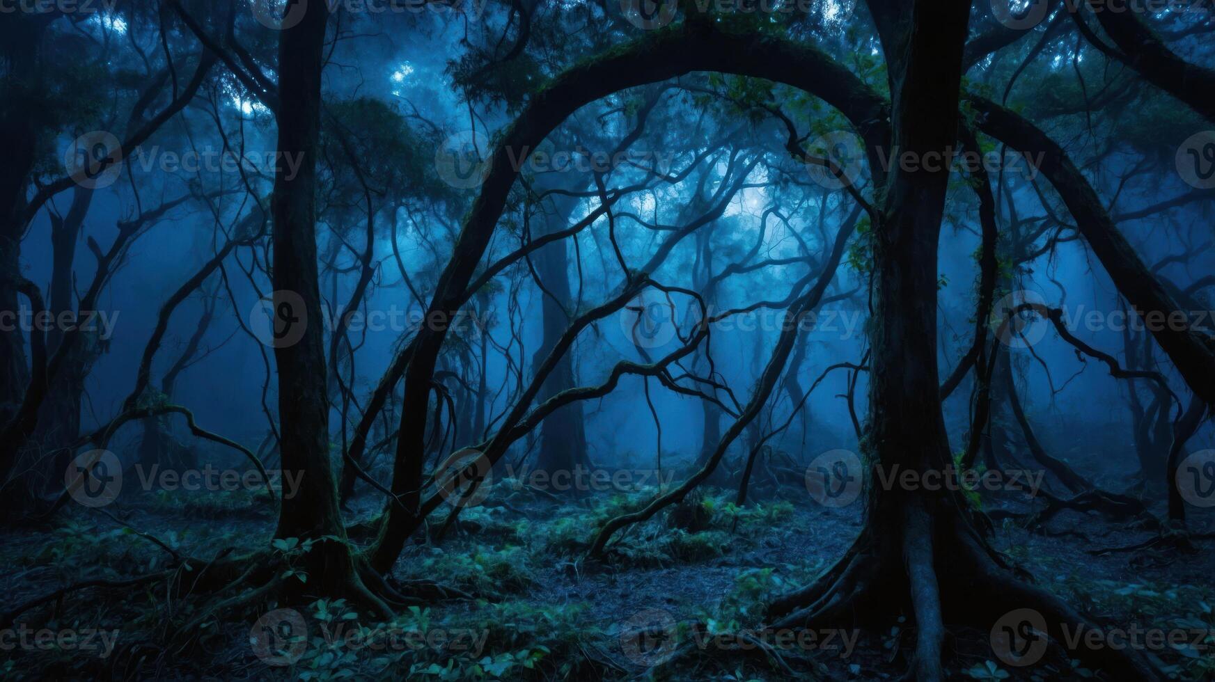 A misty forest scene with twisted trees and a moody atmosphere. photo