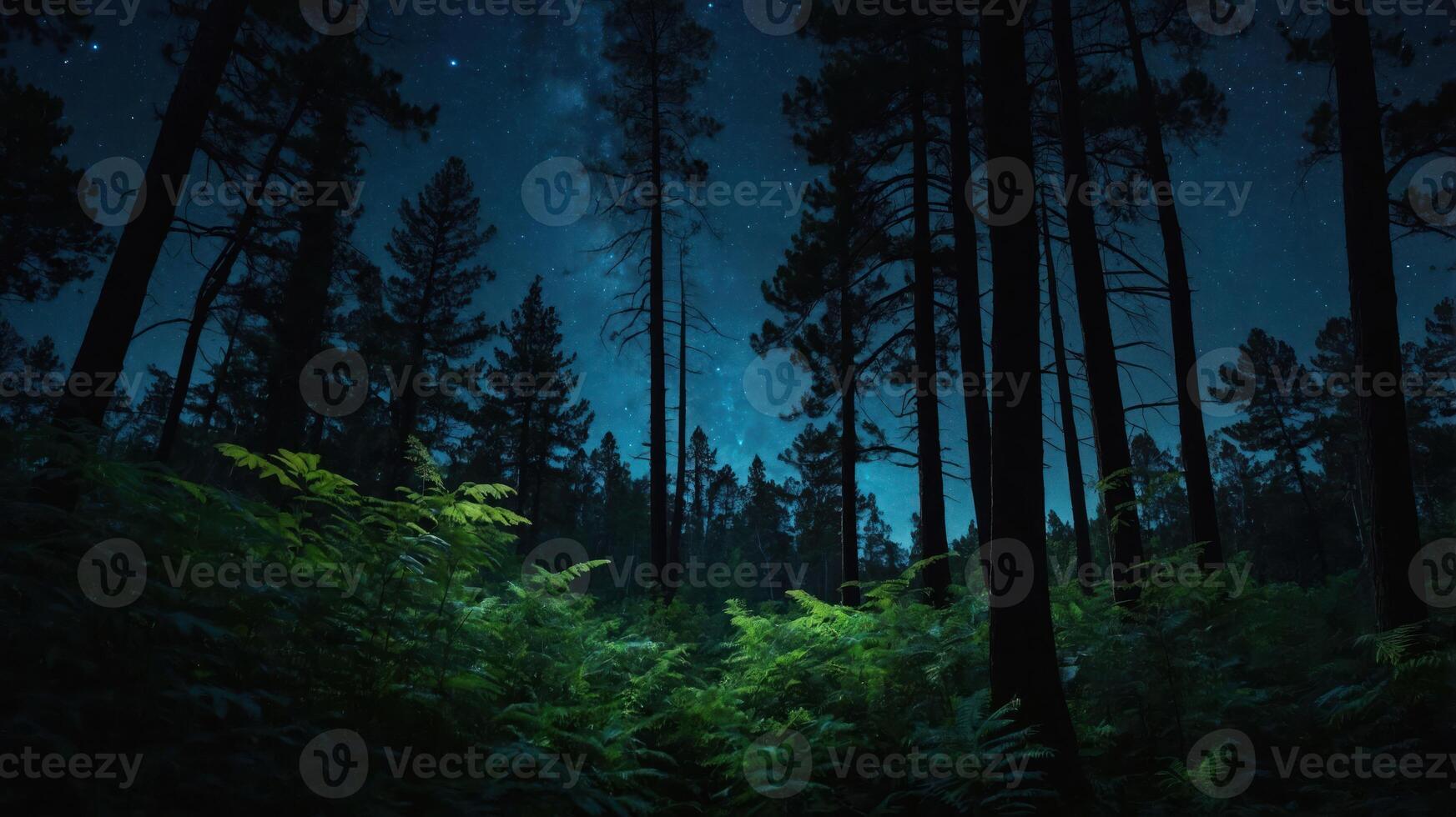 A serene night scene of a forest under a starry sky, illuminated by soft light on lush greenery. photo