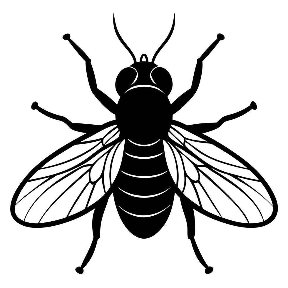 Fly Insect Black And White Illustration Design vector