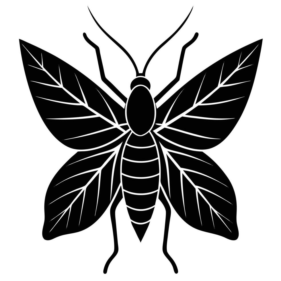 Black And White Butterfly With Leaf Wing Pattern Illustration vector