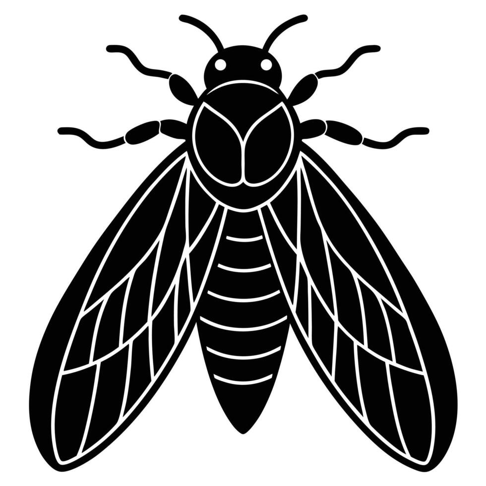 Black And White Illustration Of Stylized Cicada Insect vector