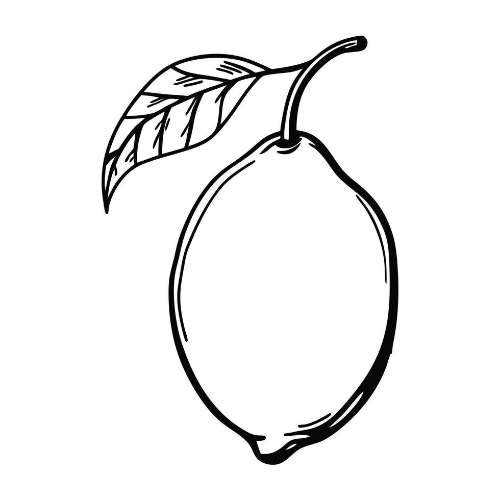 Simple Lemon Drawing With Leaf Black And White vector