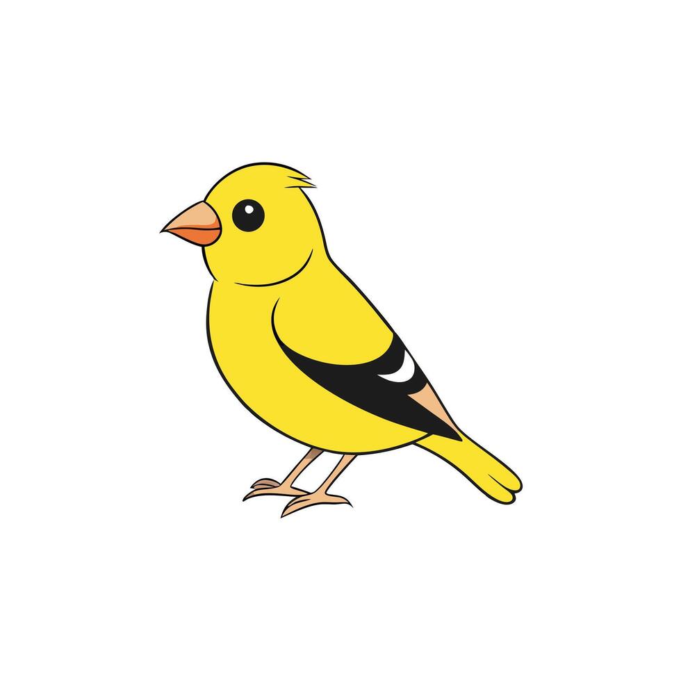Cartoon Yellow Bird On White Background vector
