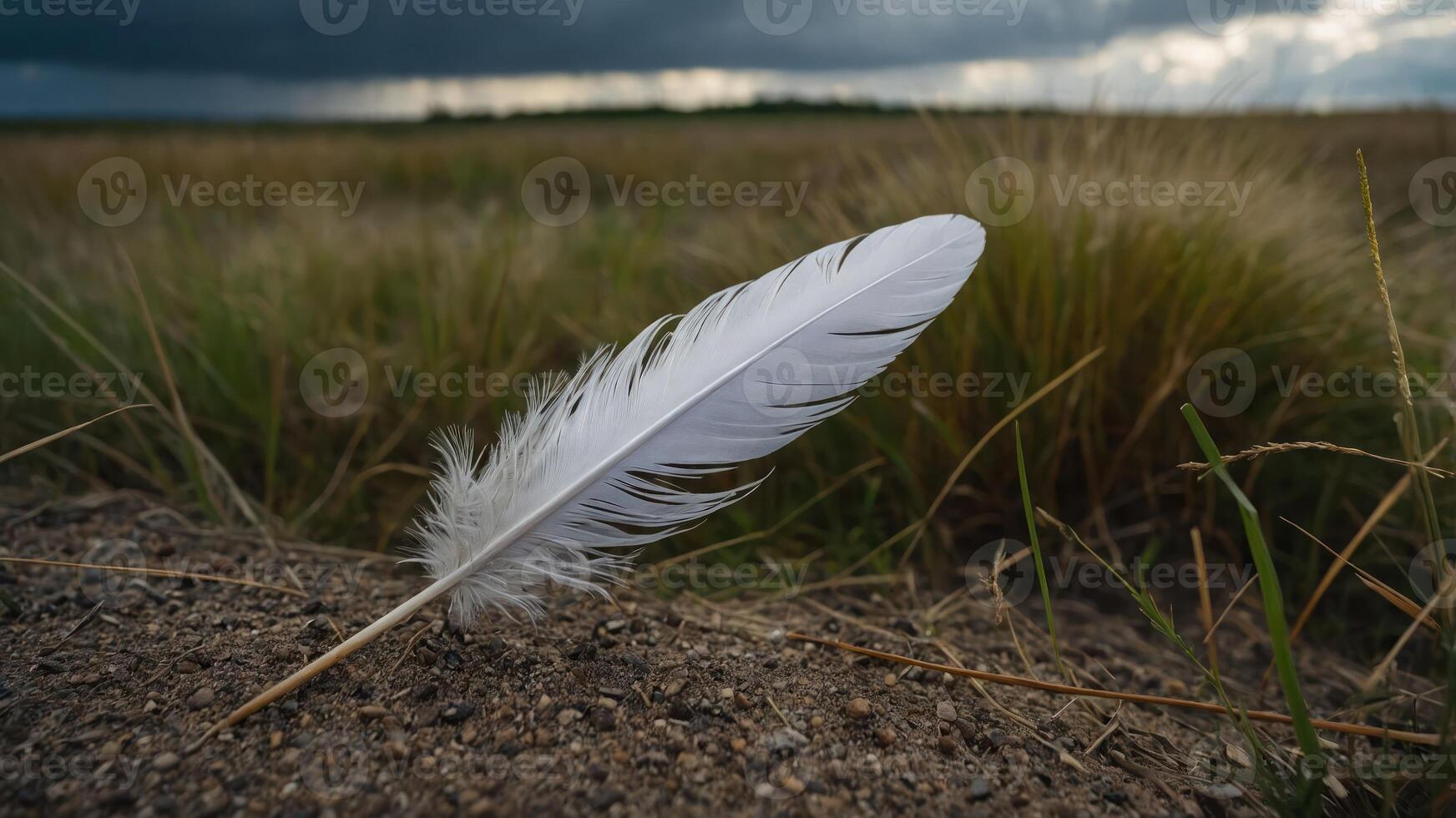 A single white feather rests on sandy ground amidst tall grasses under a cloudy sky. photo