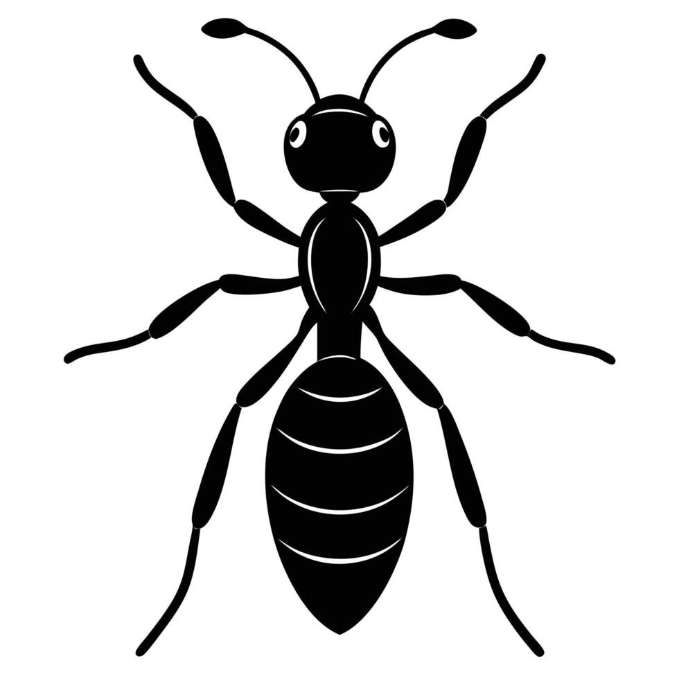 Black And White Ant Graphic Illustration Design vector