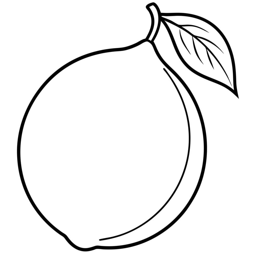 Simple Lemon Outline Illustration vector