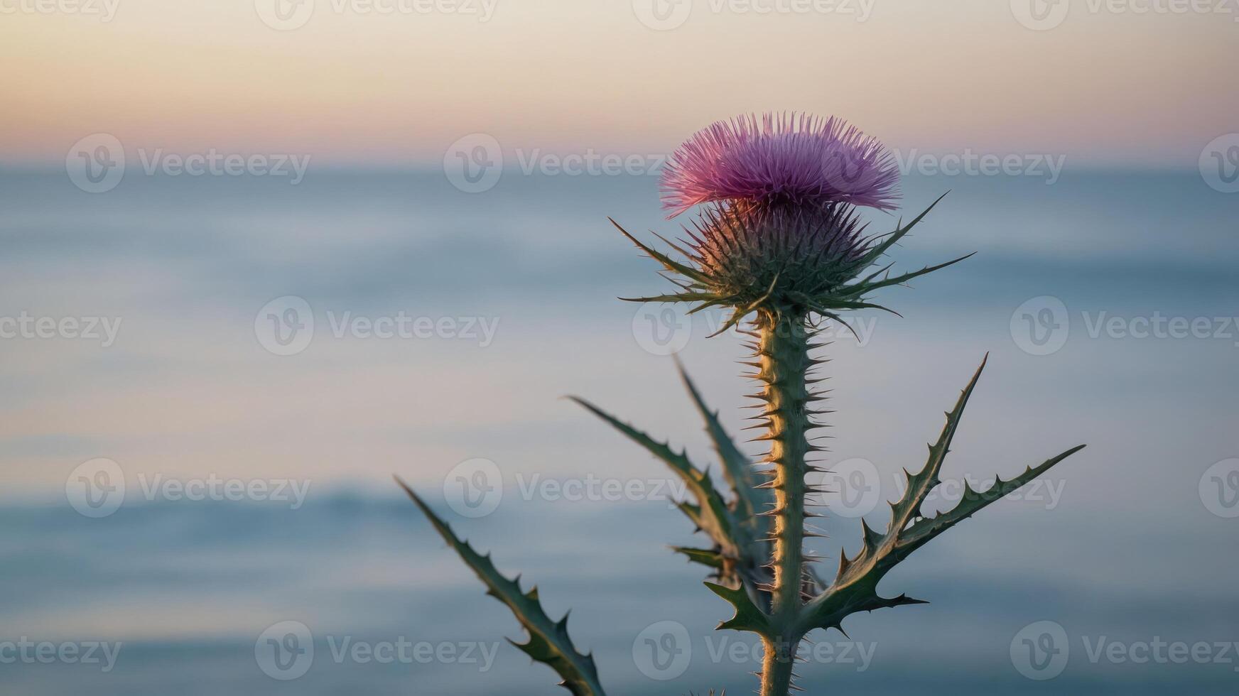 A thistle flower stands tall against a serene ocean backdrop at sunset. photo