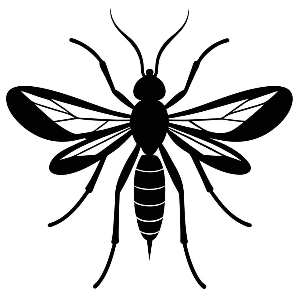 Mosquito Silhouette Black And White Dangerous Insect Pest vector