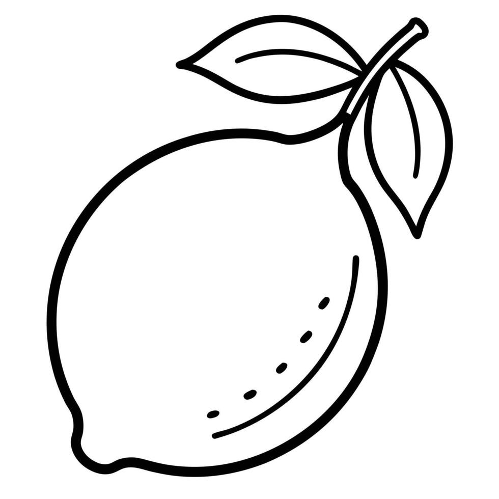 Lemon Fruit With Leaves In Black And White vector