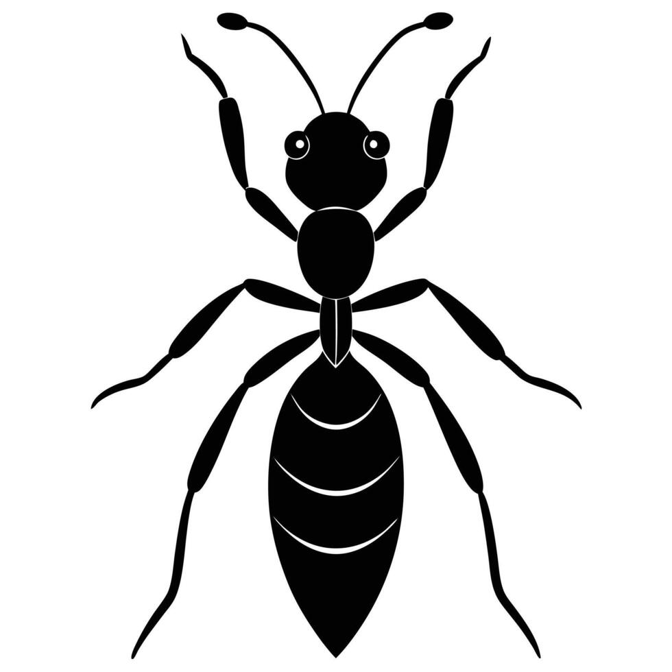Black And White Ant Insect Flat Design Illustration vector