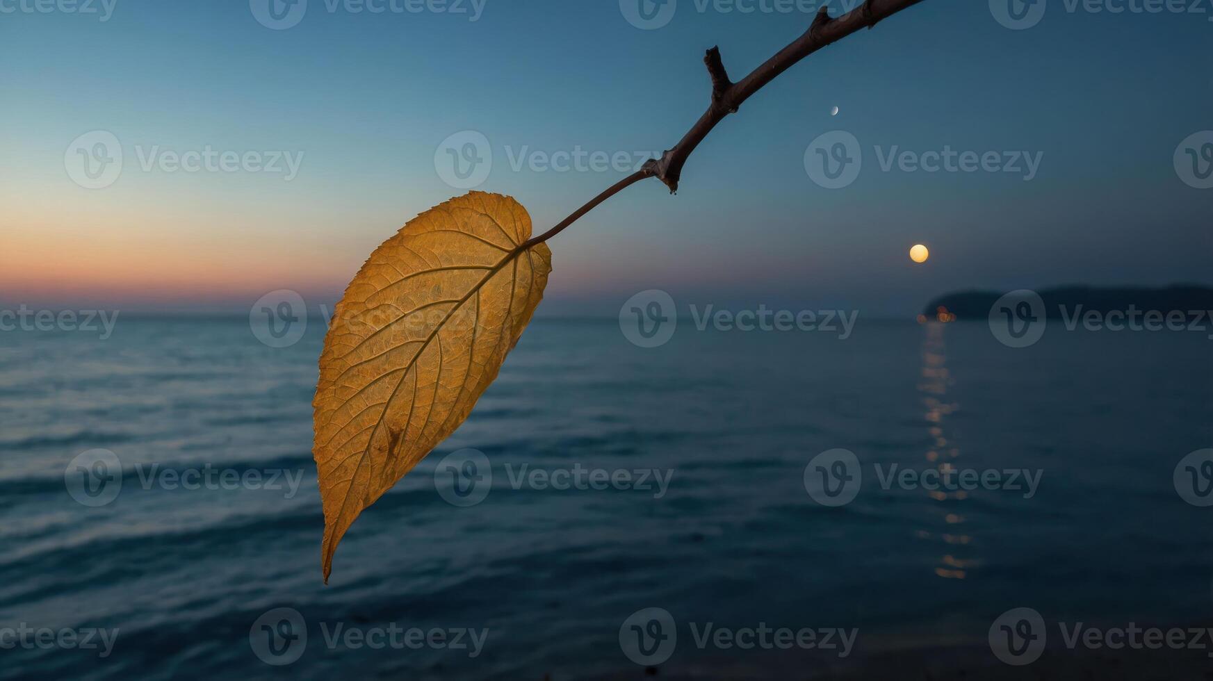 A serene twilight scene featuring a branch with a leaf over calm waters and a rising moon. photo