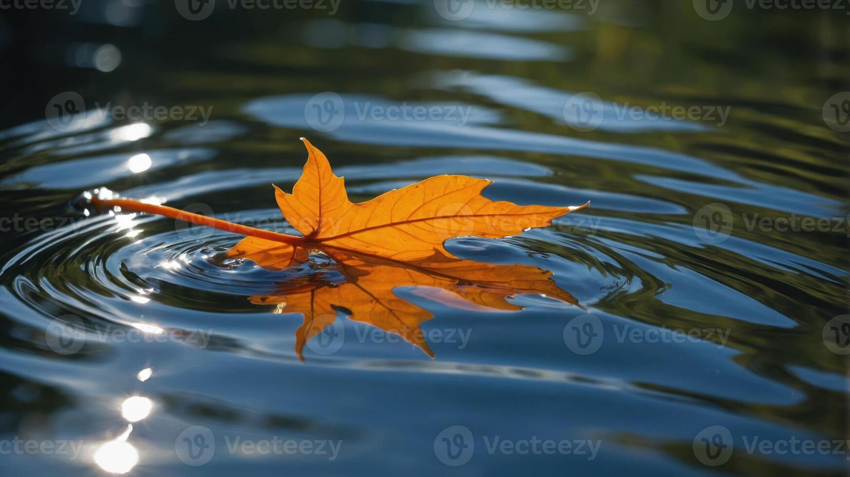 An orange leaf floats on rippling water, reflecting its vibrant color in the serene environment. photo