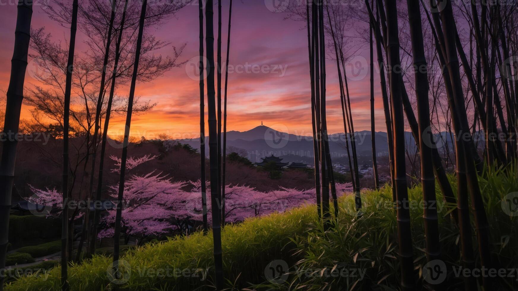 A serene landscape featuring bamboo, cherry blossoms, and a vibrant sunset. photo