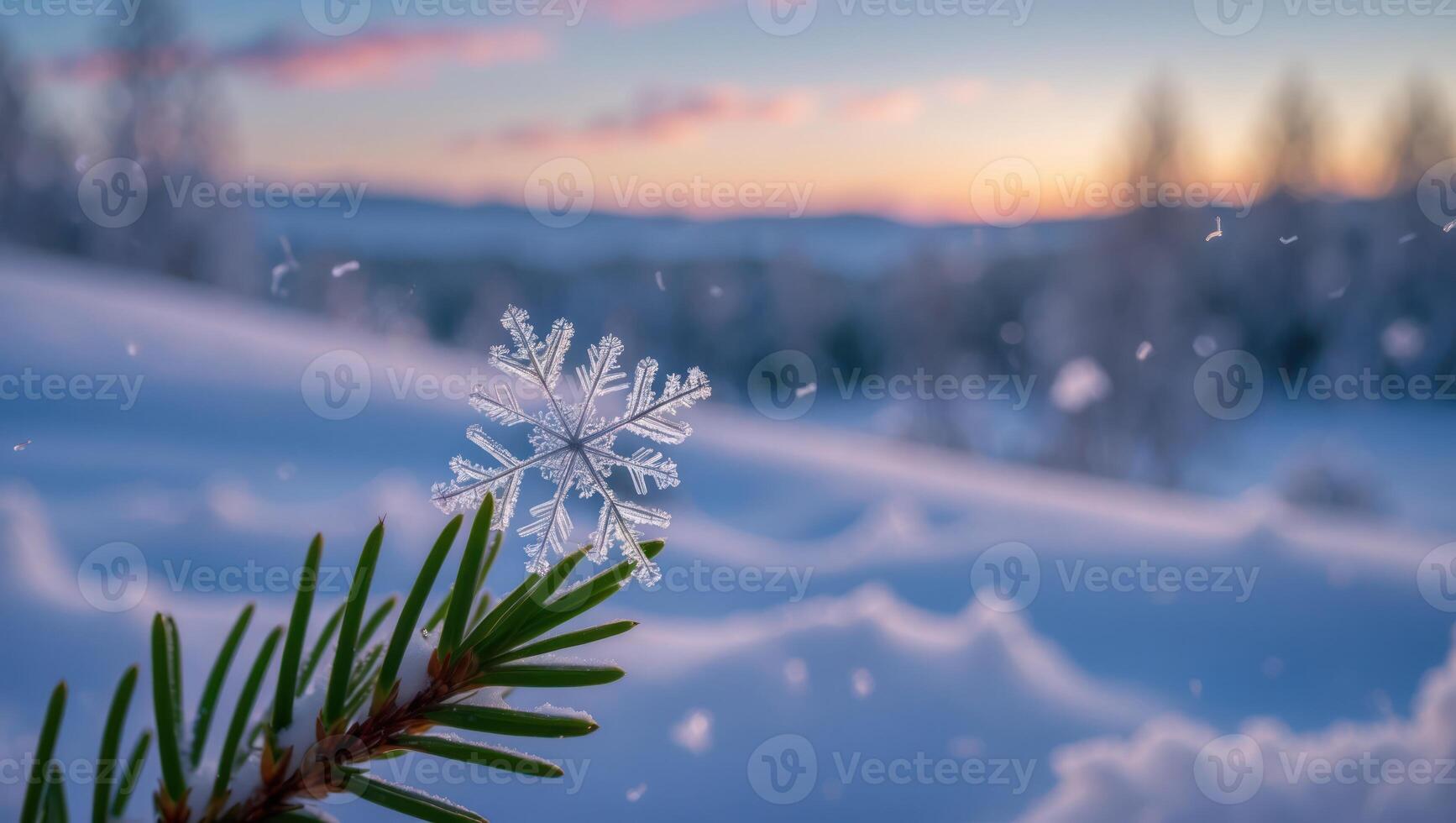 Snowflake on Branch in Winter Landscape at Sunset photo