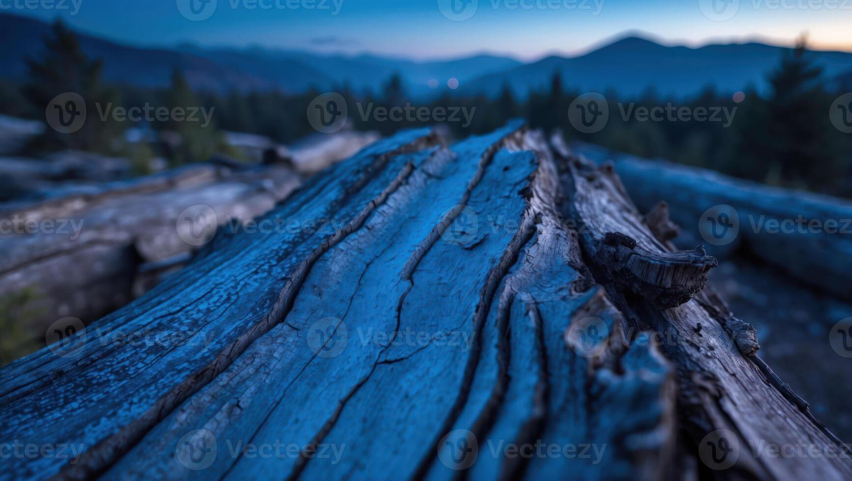 Fallen Log in Forest at Dusk Detailed Texture Close-up photo