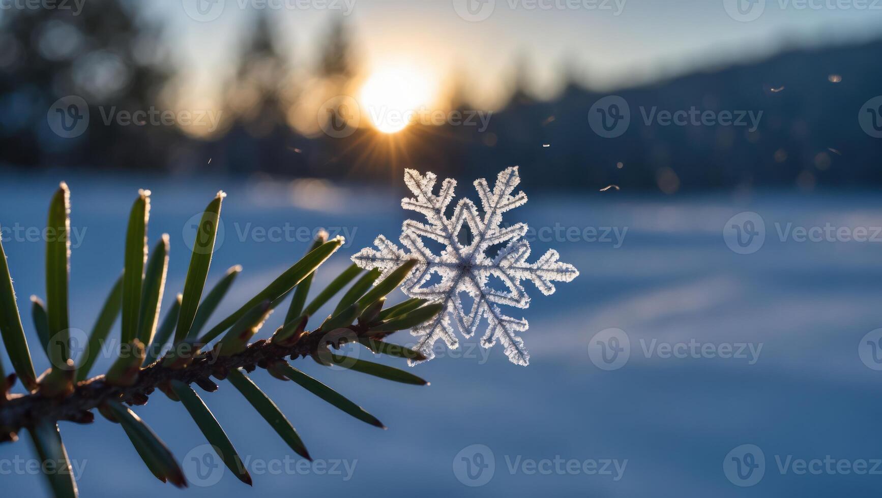Snowflake on Pine Branch at Sunset Winter Scenery photo