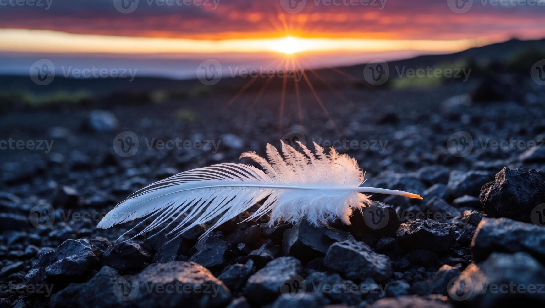 Feather Lying on Rocks at Sunset Landscape photo