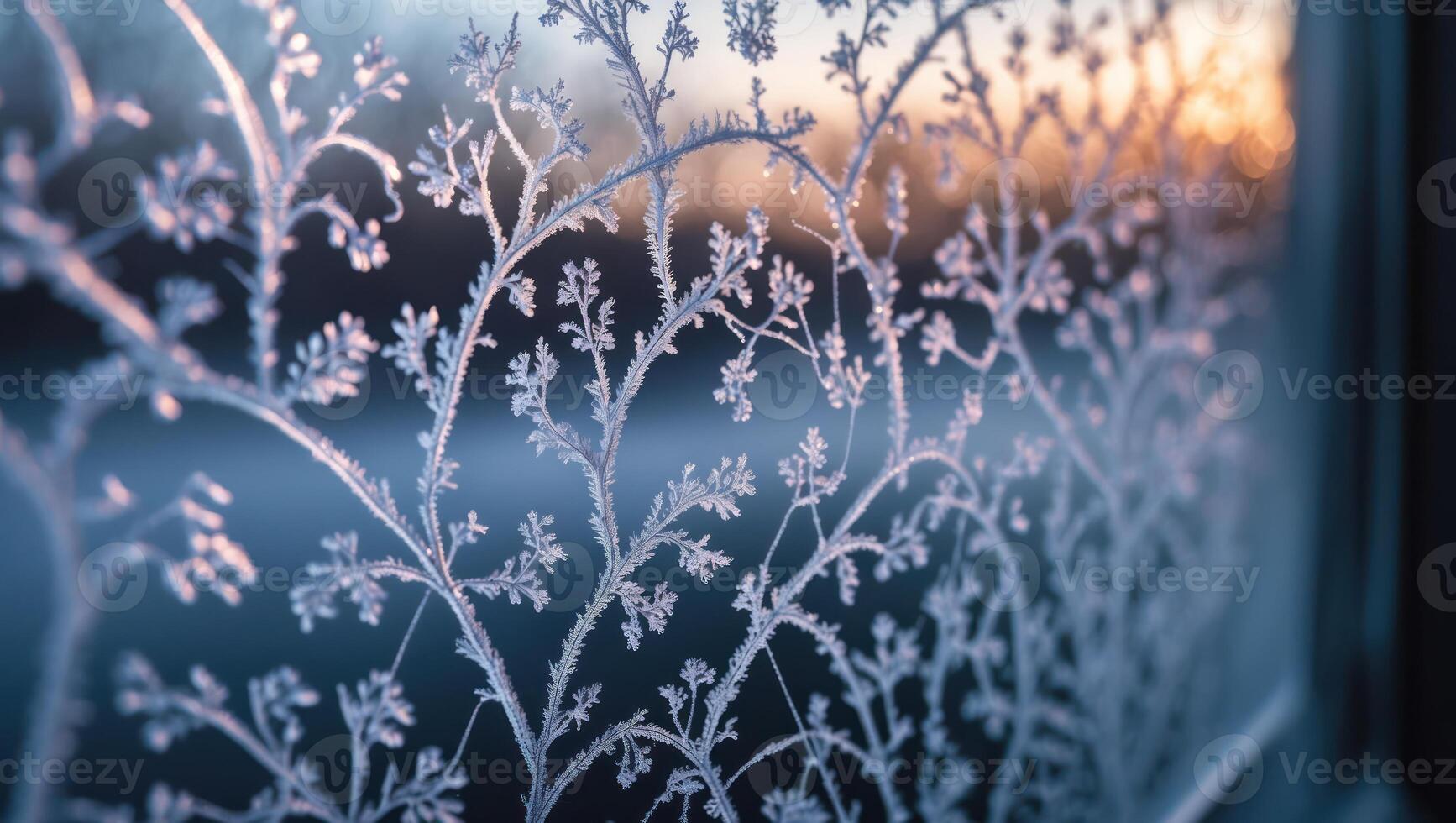 Frost Formations on Window in Winter Sunlight photo