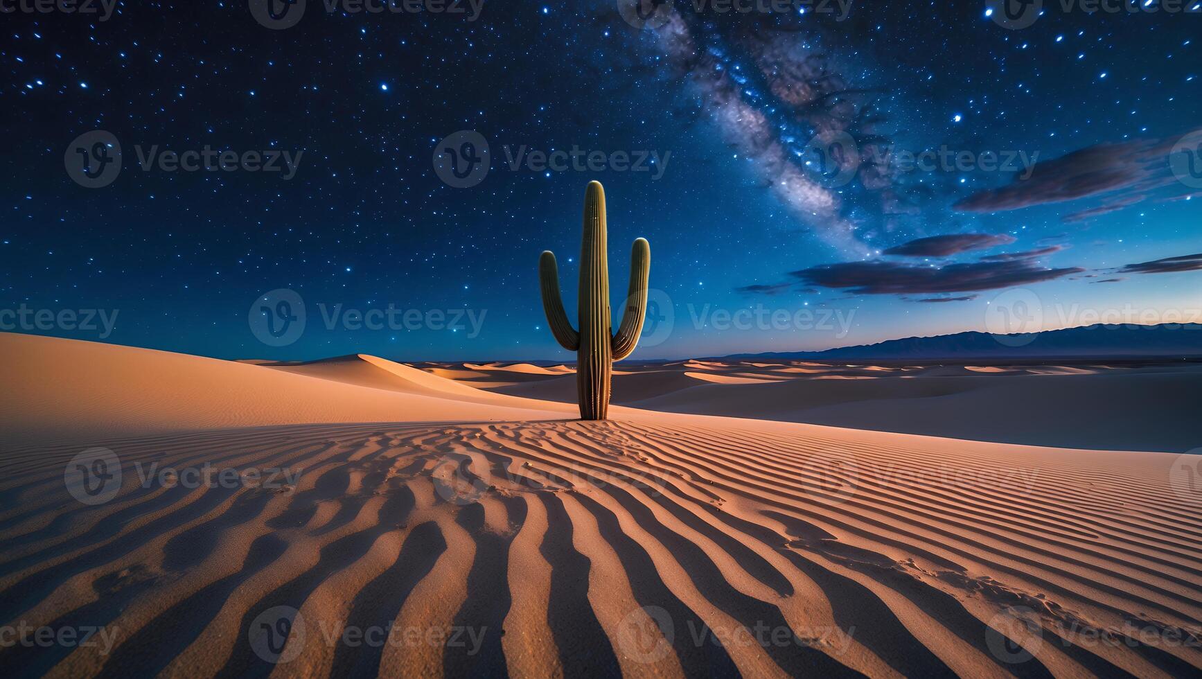 Cactus at Night in Desert Landscape with Milky Way photo