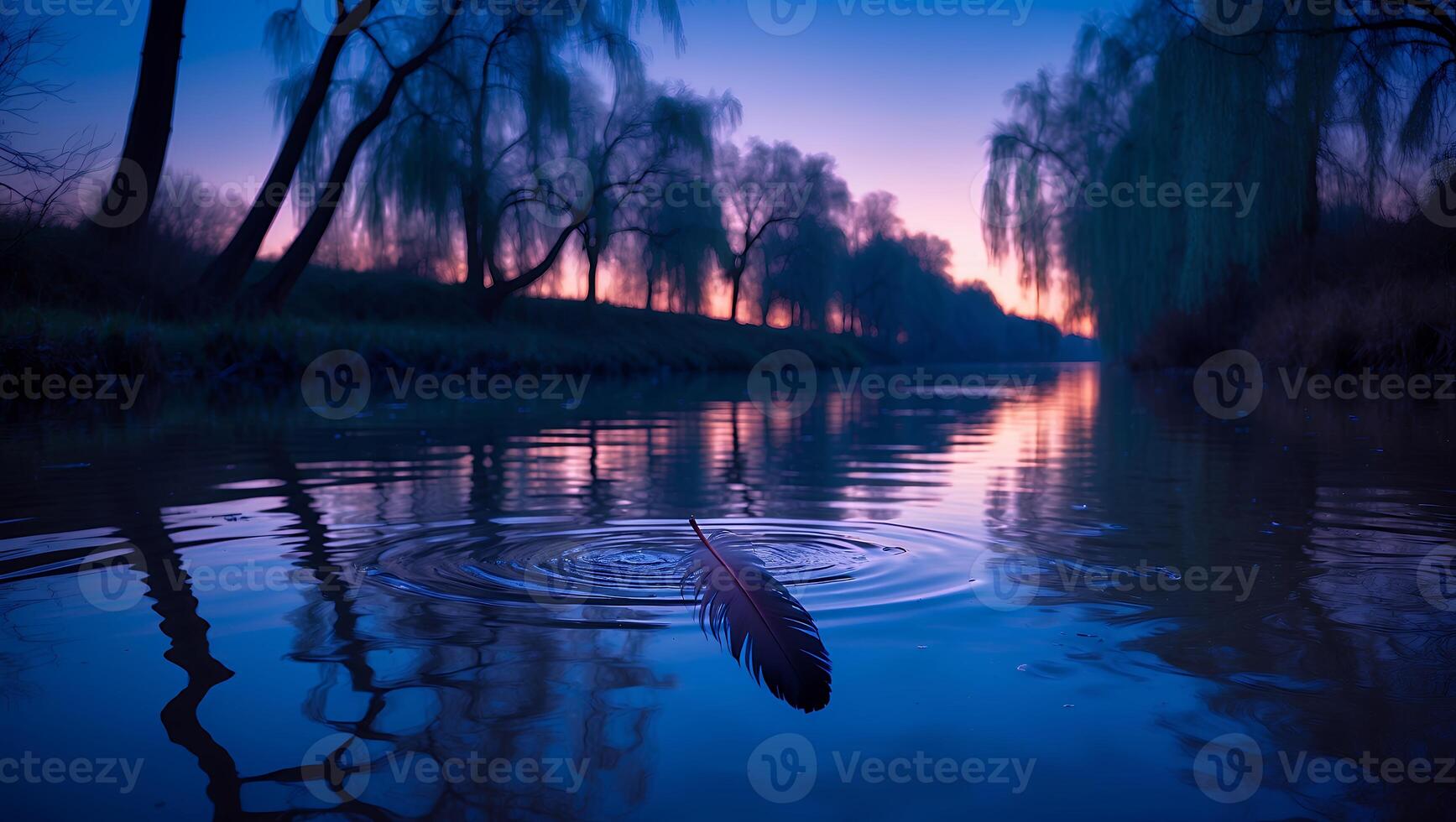 Feather Floating on Water at Dusk photo