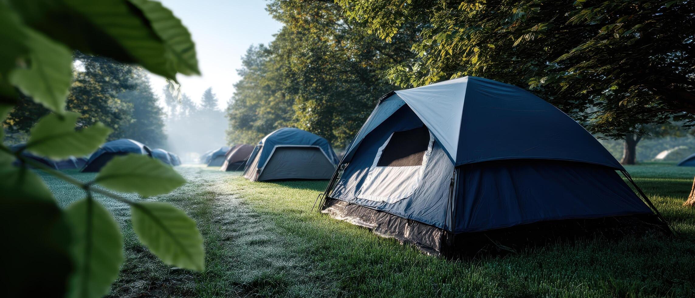 Tranquil Camping Experience at Dawn Tents in Nature Background with Copyspace photo
