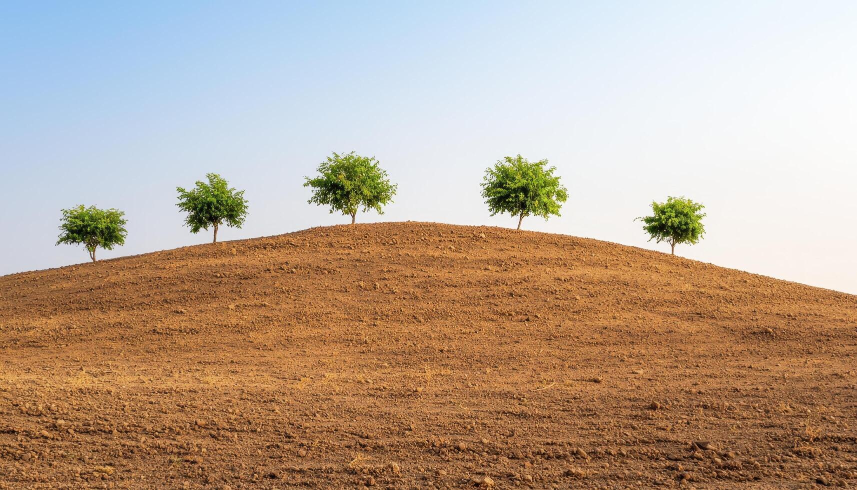 Tranquil hill landscape with small trees nature setting panoramic view peaceful environment scenic perspective photo