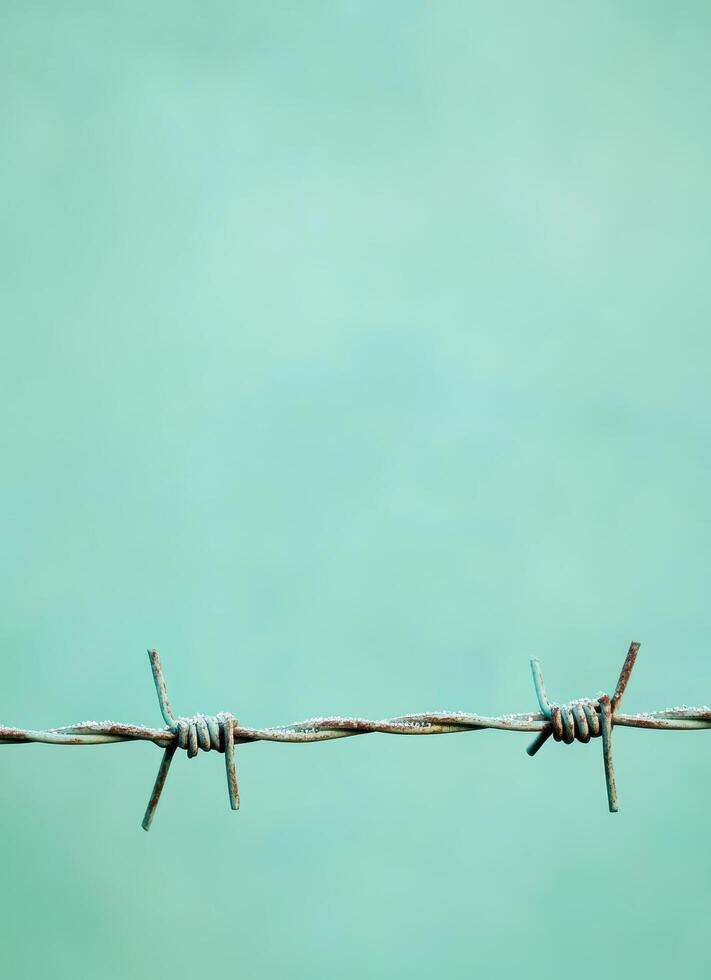 Barbed wire installation industrial site photo minimalistic background close-up view resilience concept