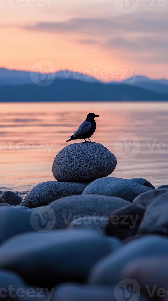 Tranquil Sunset at the Lakeside Shore with Bird photo